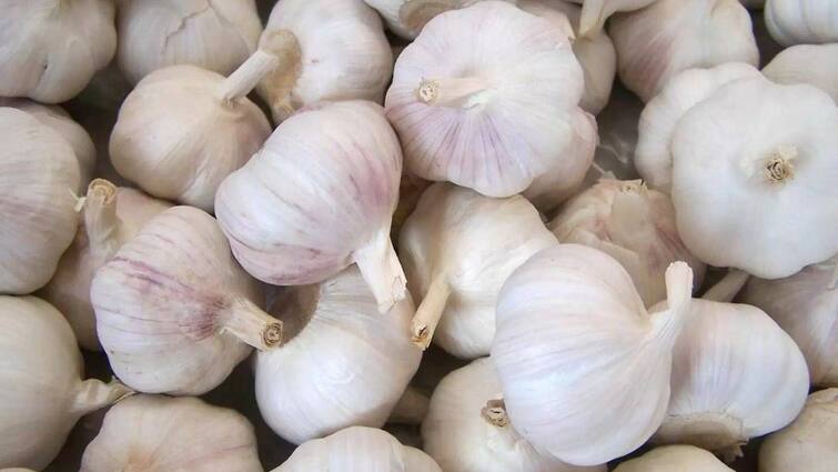 Vegetables price list march 6 2024 chennai koyambedu market Vegetable Price: இயல்பு நிலைக்கு திரும்பும் பூண்டு விலை.. உயரும் வெண்டைக்காய்.. இன்றைய பட்டியல் இதோ..