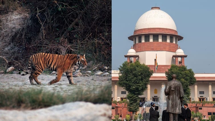 Supreme Court Slams Ex-Forest Minister Harak Singh Rawat, Sanctions Tigers Safari Plan At Jim Corbett 'Amazed At Audacity': SC Slams Ex-Forest Minister Harak Singh Rawat For Damage To Forest, Allows Tigers Safari With Conditions