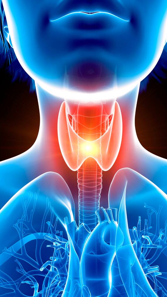 What Endocrine Disorders Are