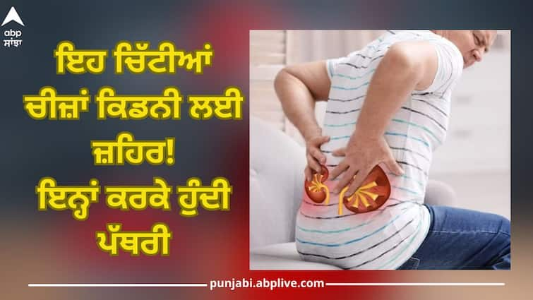 these foods items must avoid if you have kidney disease health news Kidney Disease:ਇਹ ਚਿੱਟੀਆਂ ਚੀਜ਼ਾਂ ਕਿਡਨੀ ਲਈ ਜ਼ਹਿਰ! ਜ਼ਿਆਦਾ ਦੇਰ ਤੱਕ ਖਾਣ ਨਾਲ ਪੇਟ 'ਚ ਬਣ ਜਾਂਦੀ ਪੱਥਰੀ