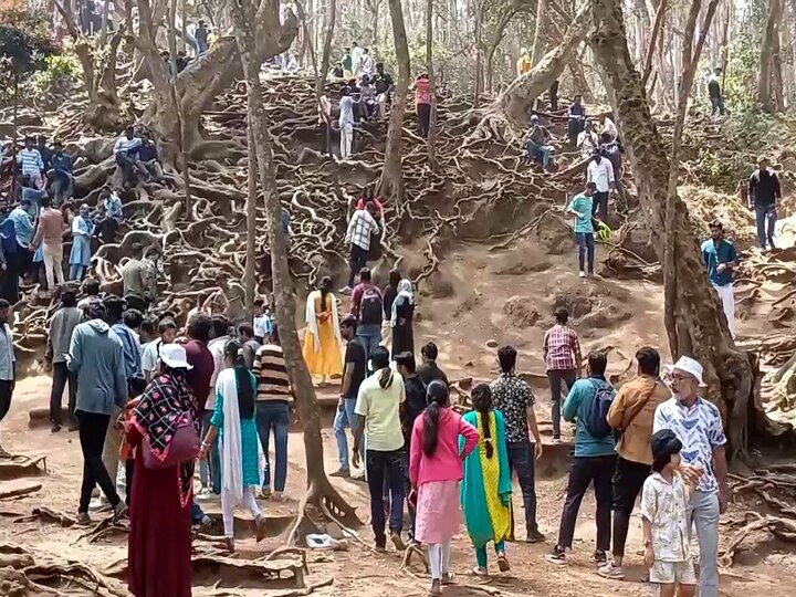 Guna Caves: ‘மஞ்சும்மல் பாய்ஸ்’   எஃபெக்ட்... 4 நாட்களில் குணா குகையை காண இத்தனை பேர் வந்தார்களா..?