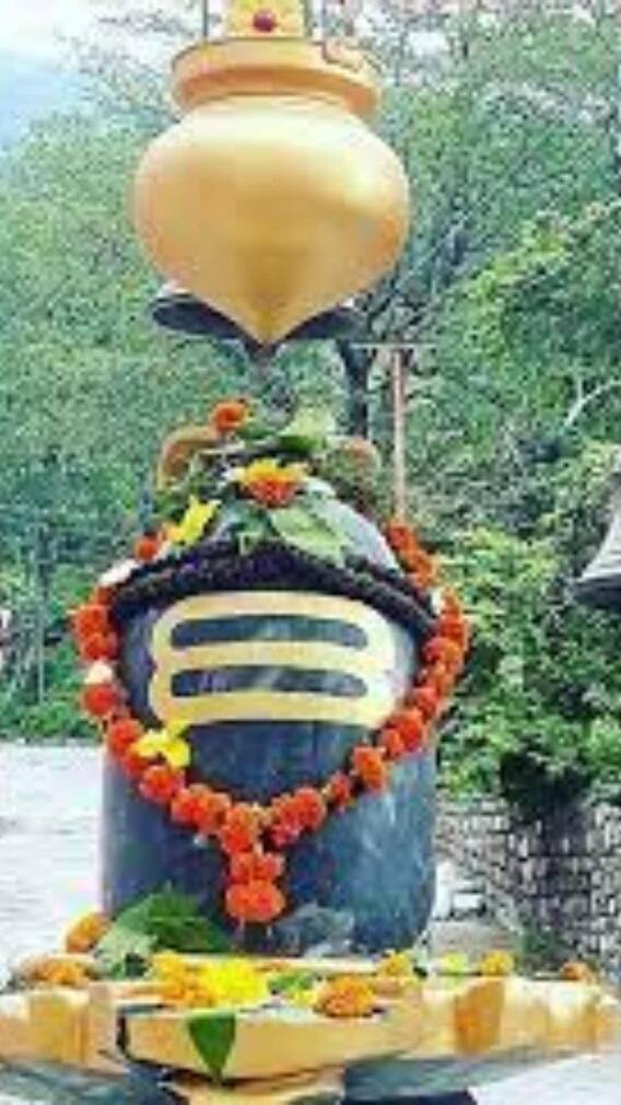 శివుడు సృష్టించిన వృక్షం ఇది - అందుకే పూజకు చాలా ప్రత్యేకం!