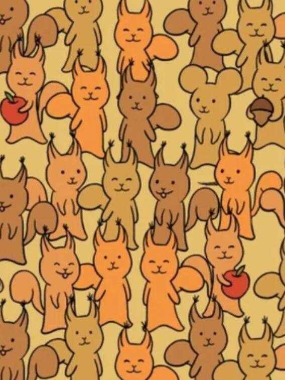 इस ऑप्टिकल इल्यूजन में गिलहरियों के बीच ढूंढे चूहा