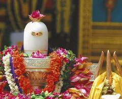 Mahashivratri 2024: મહાશિવ રાત્રિના અવસરે મહાદેવને આ પદાર્થ અચૂક કરો અર્પણ, કામનાની પૂર્તિ માટે છે સિદ્ધ ઉપાય