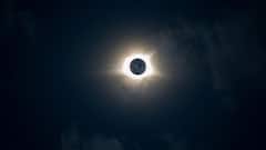 Total Solar Eclipse: এখন থেকেই বিশেষ সাবধানতা, পূর্ণগ্রাস সূর্যগ্রহণের সময় কেন অস্থির হয়ে ওঠে পশুরা?