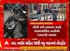 Surat News । સિંગણપોર વિસ્તારમાં જોવા મળ્યો અસામાજિક તત્વોનો આંતક