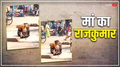 VIDEO: मां कभी गरीब नहीं होती...सड़क पर बैठ अपने बच्चे को दुलार रही महिला का वीडियो वायरल