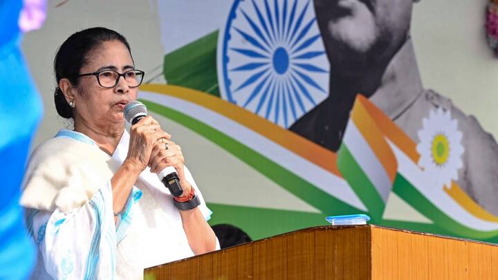 ममता खान-पान को लेकर बेहद सहज हैं. वह तेल-मसाले वाले खाने से बचती हैं. आमतौर पर वह चावल के मुरमुरे, चाय और कॉफी पसंद करती हैं. कभी कभार वह अलूर चॉप भी खाती हैं.