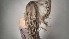 Hair Growth: চুলের সঠিক বৃদ্ধির জন্য মাথার তালুর স্বাস্থ্যেরও খেয়াল রাখা প্রয়োজন, এর জন্য কী কী খেতে পারেন?