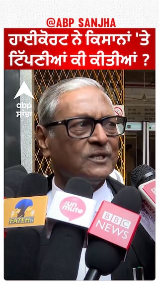 Delhi chalo| ਹਾਈਕੋਰਟ ਨੇ ਕਿਸਾਨਾਂ 'ਤੇ ਟਿੱਪਣੀਆਂ ਕੀ ਕੀਤੀਆਂ ?