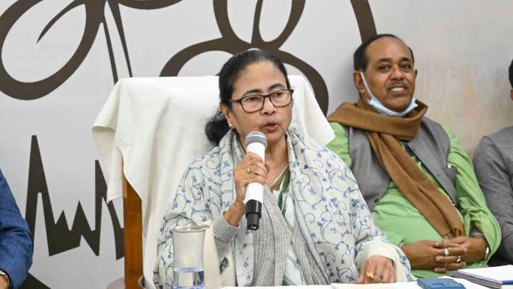 ममता के खान-पान की तरह उनका पहनावा भी सादगी भरा है. वह हमेशा ही सफेद साड़ी में नजर आती हैं. ममता की यह पसंदीदा साड़ी धनेखाली में बनती हैं. यह जगह इस काम के लिए चर्चित है.