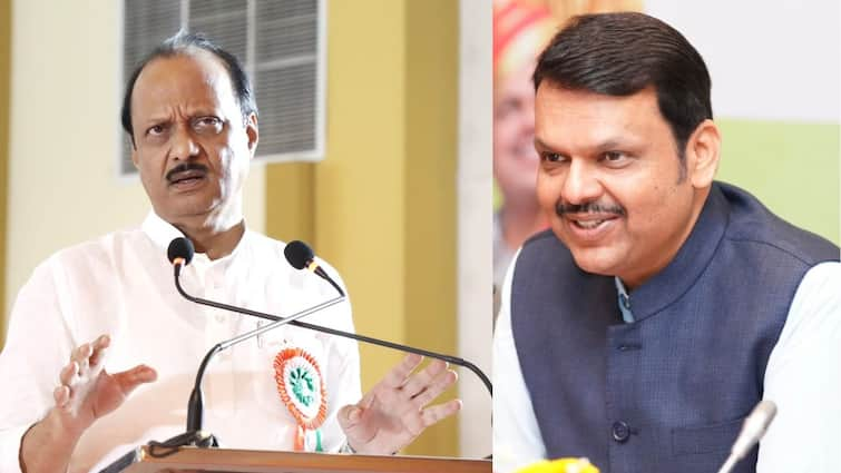 DCM Devendra Fadnavis on Ajit Pawar camp NCP demand to give same numbers of Loksabha seats like Shivsena Shinde Camp Devendra Fadnavis: आम्हाला शिंदे गटाइतक्याच जागा हव्यात, अजितदादा गटाच्या हट्टाला फडणवीसांना वास्तवाचा आरसा दाखवला, म्हणाले...