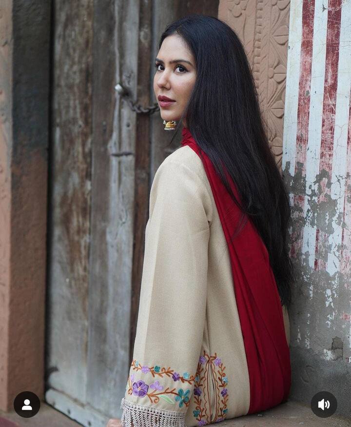 ਸੋਨਮ ਬਾਜਵਾ: ਸੋਨਮ ਬਾਜਵਾ ਇਸ ਸਮੇਂ ਪੰਜਾਬੀ ਫਿਲਮ ਇੰਡਸਟਰੀ ਦੀ ਟੌਪ ਅਦਾਕਾਰਾ ਹੈ। ਉਹ ਸਭ ਤੋਂ ਮਹਿੰਗੀ ਅਭਿਨੇਤਰੀਆਂ 'ਚ ਵੀ ਟੌਪ 'ਤੇ ਹੈ। ਸੋਨਮ ਬਾਜਵਾ ਉੱਤਰਾਖੰਡ ਦੇ ਛੋਟੇ ਜਿਹੇ ਪਿੰਡ ਦੀ ਰਹਿਣ ਵਾਲੀ ਹੈ। ਜਿੱਥੇ ਉਸ ਨੇ ਕਦੇ ਫਾਸਟ ਫੂਡ ਤੱਕ ਖਾ ਕੇ ਨਹੀਂ ਦੇਖਿਆ ਸੀ। ਉਸ ਪਿੰਡ 'ਚੋਂ ਬਾਹਰ ਨਿਕਲ ਕੇ ਏਅਰ ਹੋਸਟਸ ਬਣਨਾ, ਫਿਰ ਆਪਣੇ ਟੈਲੇਂਟ ਦੇ ਦਮ 'ਤੇ ਪੰਜਾਬੀ ਇੰਡਸਟਰੀ 'ਚ ਦਾਖਲ ਹੋਣਾ ਅਤੇ ਸਭ ਤੋਂ ਟੌਪ ਦੀ ਹੀਰੋਈਨ ਬਣਨਾ, ਇਹ ਤਾਂ ਸੋਨਮ ਹੀ ਕਰ ਸਕਦੀ ਸੀ।