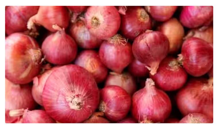 Big decision of government to export onion to 3 countries  onion export News सरकारचा मोठा निर्णय, 'या' 3 देशांना कांद्याची निर्यात होणार; शेतकऱ्यांना फायदा होणार का?