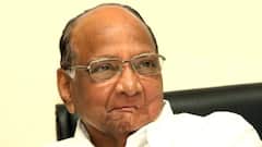 मविआच्या जागावाटपादरम्यान शरद पवार नाशिकमध्ये; जाहीर सभेतून तोफ धडाडणार