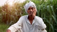 PM किसानच्या 16व्या हप्त्याची रक्कम मिळाली का? मिळाली नसेल तर शेतकऱ्यांनी कुठे करावी तक्रार?