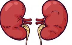 Health: ਕਿਡਨੀ ਨੂੰ ਰੱਖਣਾ ਚਾਹੁੰਦੇ ਹੋ ਸਿਹਤਮੰਦ, ਇਨ੍ਹਾਂ ਚਿੱਟੀਆਂ ਚੀਜ਼ਾਂ ਨੂੰ ਰੱਖੋ ਡਾਈਟ ਤੋਂ ਬਾਹਰ