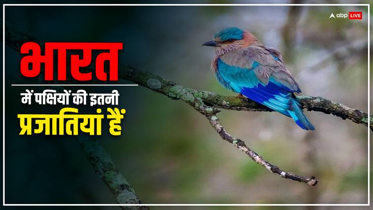 Which country in the world has the highest number of bird species India is at this number in the list दुनिया के किस देश में पक्षियों की प्रजाति सबसे ज्यादा, लिस्ट में किस नंबर पर है अपना हिंदुस्तान?