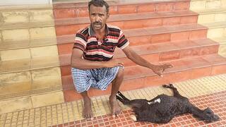 தெரு நாய்களை கட்டுப்படுத்த லஞ்சமா..? -  ஊராட்சித்தலைவரை கண்டித்து  தாலுகா அலுவலகத்தில் விவசாயி தர்ணா