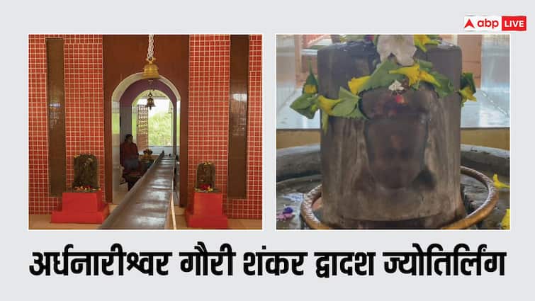 Mahashivratri 2024 shiv puja in Deogarh Surguja Ardhanarishvara Gauri Shankar Dwadash Jyotirlinga Ann Mahashivratri 2024: महाशिवरात्रि पर सरगुजा के देवगढ़ में भक्तों की भीड़, अर्धनारीश्वर गौरी शंकर द्वादश ज्योतिर्लिंग के नाम से है मशहूर
