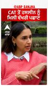 CAT ਤੋਂ ਹਸਲੀਨ ਨੂੰ ਮਿਲੀ ਵੱਖਰੀ ਪਛਾਣ