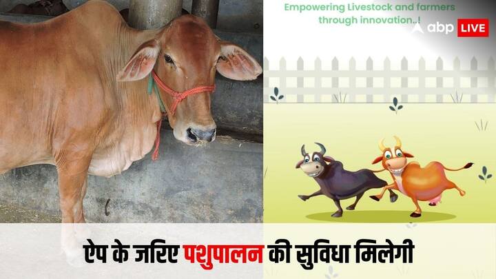maharashtra government launched app for animal husbandry know how to use it महाराष्ट्र के किसानों को सरकार ने दी बड़ी सौगात, पशुपालन के लिए बनाया ऐप, जानिए कैसे करना होगा इस्तेमाल