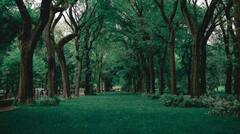 ਇਸ ਘਾਹ ਦੇ ਨੇੜੇ ਜਾਣ ਨਾਲ ਕੋਈ ਨਹੀਂ ਬਚਦਾ, ਜਾਣੋ ਕੀ ਕਾਰਨ ?