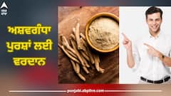 Ashwagandha Benefits: ਅਸ਼ਵਗੰਧਾ ਪੁਰਸ਼ਾਂ ਲਈ ਵਰਦਾਨ, ਜਾਣੋ ਇਸਦੇ ਗਜ਼ਬ ਫਾਇਦੇ