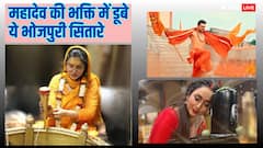 Maha Shivratri 2024: किसी ने की मंदिर में पूजा...तो किसी ने किया तांडव, भोजपुरी सितारों ने यूं दी फैंस को महा शिवरात्रि की बधाई
