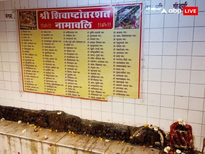 यहां पर लिखे एक शिलालेख जिसकी भाषा समझ नहीं आती से पता चलता है कि 1500 वर्ष पूर्व एक साधु यहां तपस्या कर रहे थे, उस समय यहां जंगल हुआ करता था और तभी से इस स्थान का महत्व बढ़ता चला गया. उसी समय एक राजा यहां पर आए उनके साथ एक भील भी था, जिसने तीर चलाया जो साधु के लगा और साधु मोक्ष गति को प्राप्त हो गए, उसी समय स्वयंभू भगवान नीलकंठ यहां प्रकट हुए और तभी से यहां उनकी पूजा अर्चना निरंतर चली आ रही है.