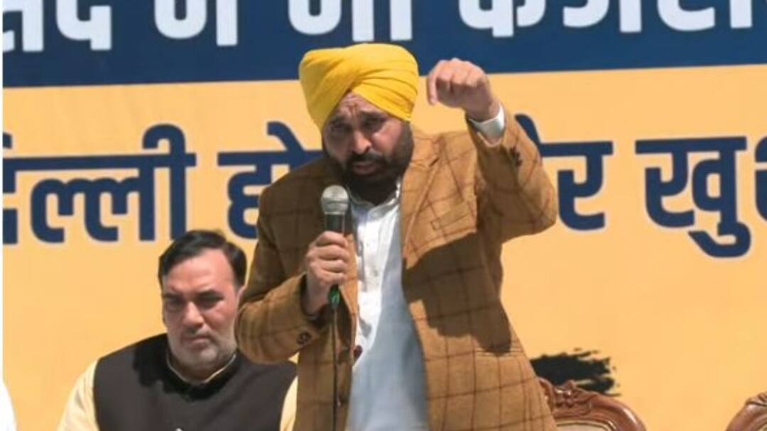 Bhagwant Mann Punjab CM AAP Attack on BJP Govt Over Arvind Kejriwal And Lok Sabha Election 2024 Lok Sabha Election: पंजाब में लोकसभा चुनाव को लेकर सीएम भगवंत मान का बड़ा दावा, '13-0 से जीतेंगे'