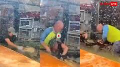 Video: खतरनाक मगरमच्छ ने जूकीपर को अचानक चपेट में लिया, वीजिटर ने ऐसे बचाई जान