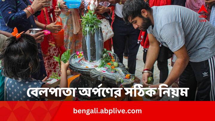 Mahashivratri 2024 Bail Leaf Offering: মহাদেবের কাছে কীভাবে বেলপাতা অর্পণ করতে হয় ? জেনে নিন সঠিক নিয়মটি।