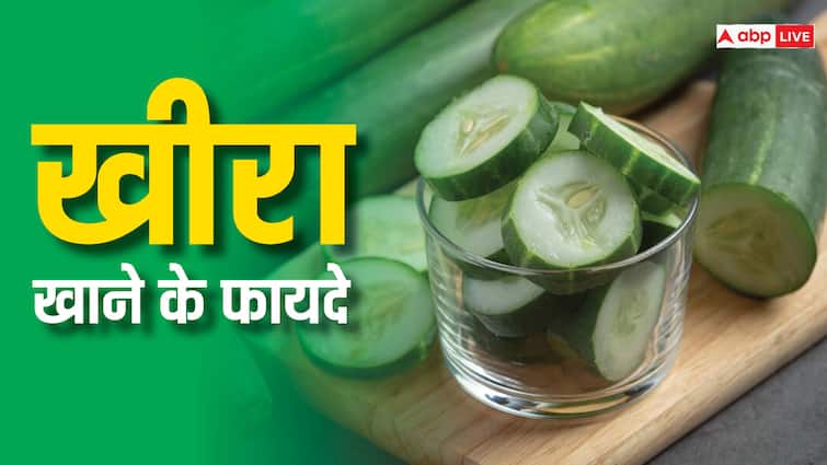 कई हेल्थ प्रॉब्लम को जड़ से दूर करता है खीरा, जानें इसके इस्तेमाल करने का सही तरीका Why you should include cucumbers in your diet कई हेल्थ प्रॉब्लम को जड़ से दूर करता है खीरा, जानें इसके इस्तेमाल करने का सही तरीका