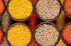 Diabetes Diet: ડાયાબિટીસના દર્દીઓએ ક્યાં કઠોળ ખાવા જોઈએ, જાણો તેના વિશે