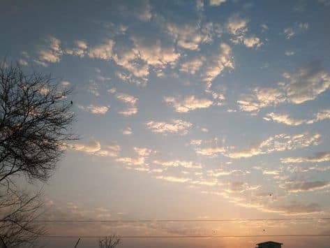 ਪੰਜਾਬ 'ਚ ਅੱਜ ਮੌਸਮ ਰਹੇਗਾ ਸਾਫ, 10 ਮਾਰਚ ਮਗਰੋਂ ਲਵੇਗਾ ਕਰਵਟ