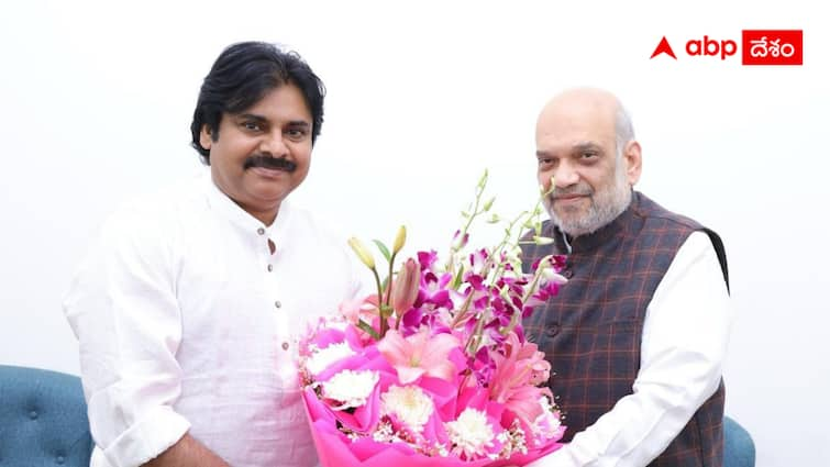 Central leadership of BJP has suggested Pawan Kalyan to contest as MP abpp Pawan Kalyan:  పవన్ కల్యాణ్‌ను ఎంపీగా పోటీ చేయాలని బీజేపీ కోరుతోందా ? పొత్తుల చర్చల్లో  ఏం జరుగుతోంది ?