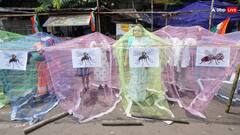 डेंगू का पहला वार ही हो सकता है घातक, 619 बच्चों पर की गई रिसर्च ने चौंकाया