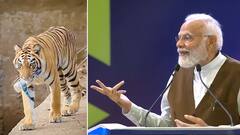 PM Modi refers Tiger picking plastic bottle reel | పులి నోటితో వాటర్ బాటిల్ ఎందుకు తీసిందంటే.! | ABP
