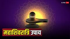 Mahashivratri 2024: मनचाहा जीवनसाथी पाने के लिए आज रात कर लें ये उपाय, सुखी रहेगा दांपत्य जीवन