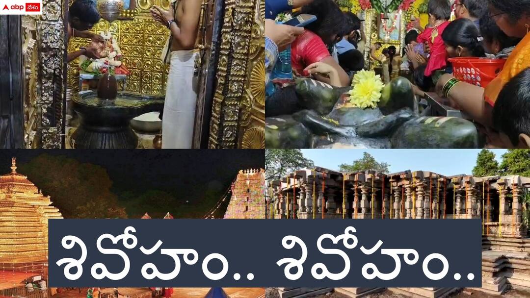devotees rushed in siva temples in telugu states due to maha sivaratri festival Sivaratri Celebrations: తెలుగు రాష్ట్రాల్లో శివరాత్రి శోభ - ఆలయాలకు పోటెత్తిన భక్తులు