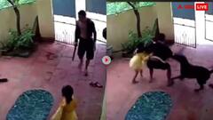 Video: बच्ची को किडनैप करने लगा बदमाश, कुत्ते ने बड़ी चालाकी से बचाई जान, देखें वीडियो