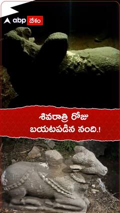 శివరాత్రి రోజు బయటపడిన నంది.!