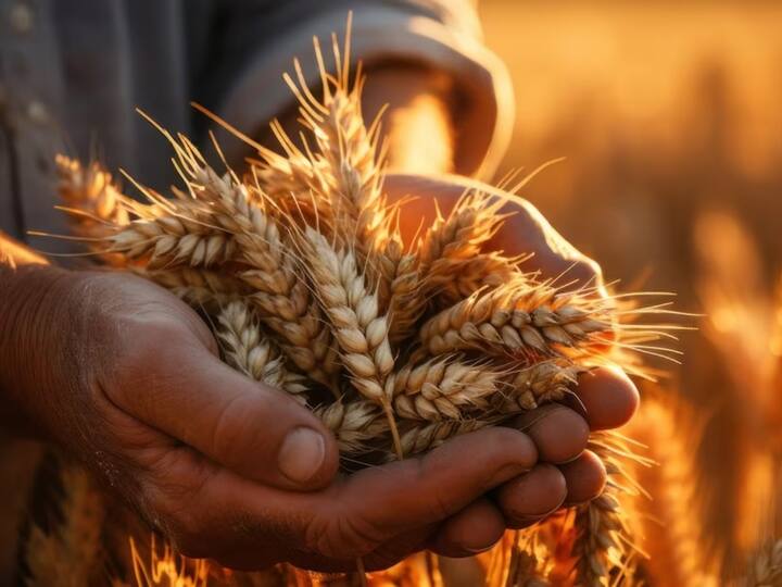 जौ- जौ एक साबुत अनाज है जो फाइबर, विटामिन और खनिजों से भरपूर होता है. इसमें चबाने जैसी बनावट और नट्स का फ्लेवर होता है. जौ बीटा-ग्लूकन का एक अच्छा स्रोत है. यह एक प्रकार का फाइबर है, जो कोलेस्ट्रॉल के स्तर को कम करने में मदद कर सकता है.