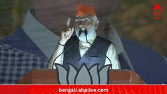 PM Modi On Flashflight:'বিকশিত ভারত, বিকশিত বাংলার সঙ্কল্পে' মোবাইলের ফ্ল্যাশলাইট জ্বালার আহ্বান প্রধানমন্ত্রীর