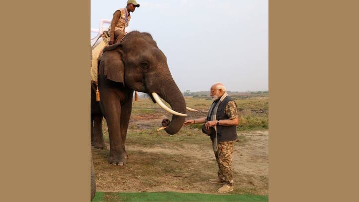 पीएम मोदी ने काजीरंगा नेशनल पार्क पहुंचने पर सबसे पहले पार्क के सेंट्रल कोहोरा रेंज के मिहिमुख क्षेत्र में एलिफेंट सफारी की. इसके बाद इसी रेंज के अंदर उन्होंने जीप सफारी भी की है.