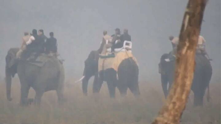 प्रधानमंत्री नरेंद्र मोदी के साथ नेशनल पार्क की डायरेक्टर सोनाली घोष और वन विभाग के अन्य वरिष्ठ अधिकारी भी मौजूद थे. सभी लोगों को हाथी पर बैठकर कोहोरा रेंज में जानवरों को निहारते हुए देखा गया.