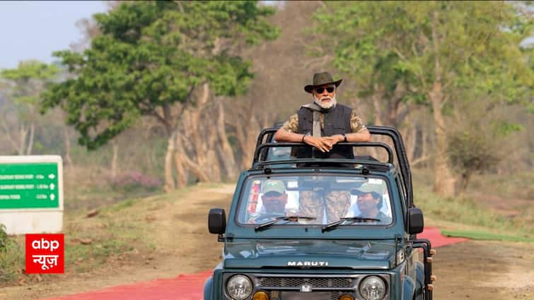 PM Modi In Assam: PM Modi paves method for tourism with this superb photoshoot at Kaziranga Nationwide Park