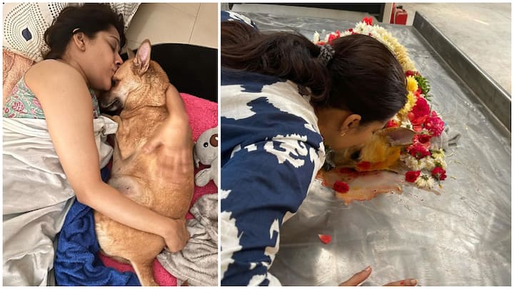 Rashmi Gautam Dog Death: యాంకర్ రష్మి ఇంట్లో విషాదం నెలకొంది. శనివారం ఆమె పెంపుడు కుక్క చనిపోయింది.