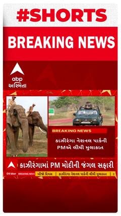 PM Modi | Assam | કાઝીરંગા જંગલ સફારીમાં PM મોદીએ કરી હાથીની સવારી